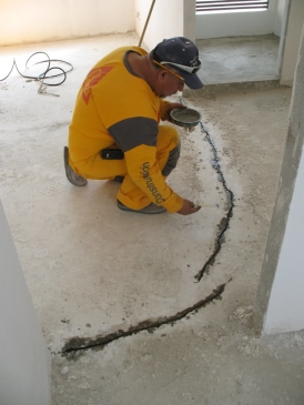  - zapopan, actualizacion de estructuras